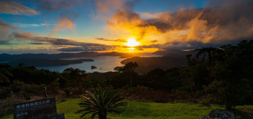 油井岳 machiiro 記事写真 夕日 1