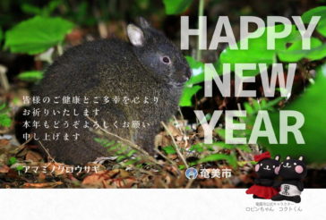 kc86zvhmvbuuhtvaiel5ismidpalz8irjiqtavgy